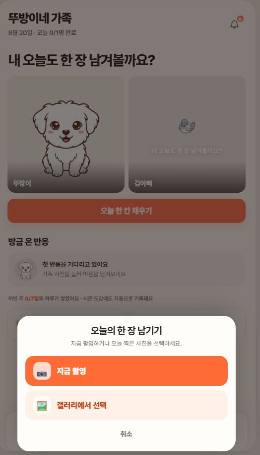핑에서 지금 촬영하거나 갤러리 사진을 선택하는 실제 화면